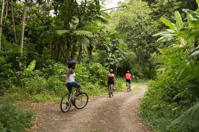Day of Adventure - Zipline and Hike or Bike - Getting ready: footwear and fitness level are not optional