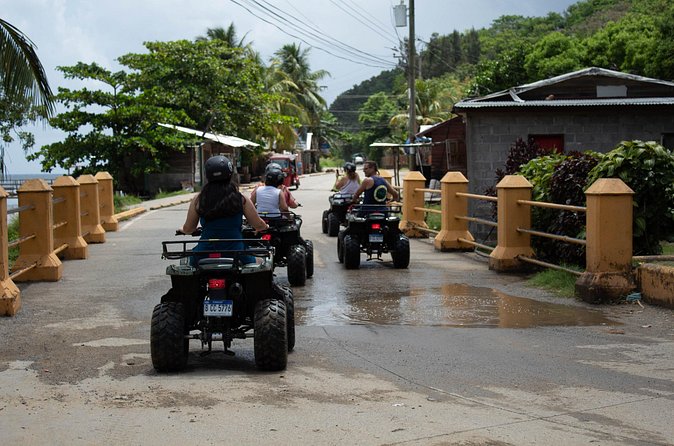 Day Tour in Roatan: ATV, Sloths, Monkeys and Zipline - Who Should Book This Roatan Adventure (and Who Should Reconsider)