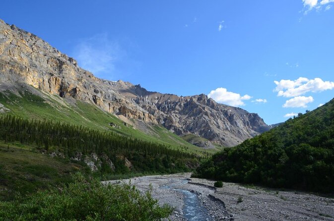 Denali Park Zipline Adventure - Key things to know before you clip in