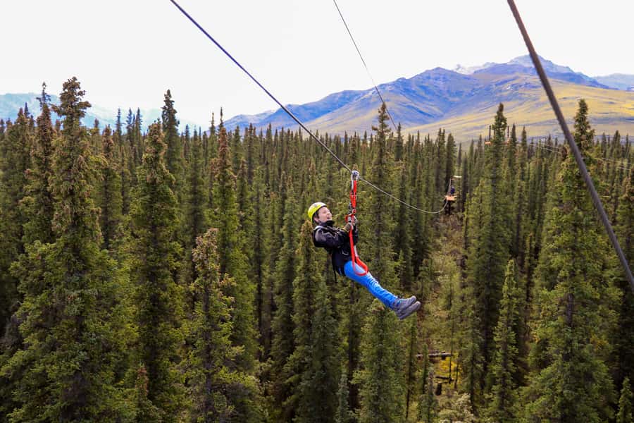 Denali Park Zipline Adventure - Who Should Book This Tour (and Who Might Skip It)