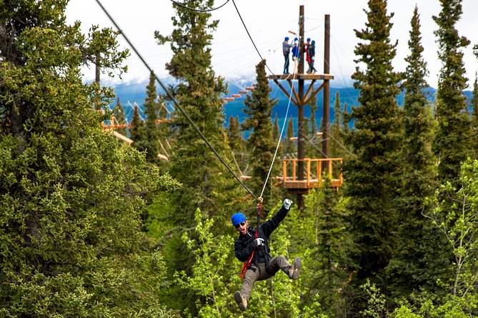 Denali Park Zipline Adventure - Denali Park Zipline Adventure: the treetop thrill, set just outside the park