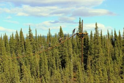 Denali Park Zipline Adventure - The 3-Mile ATV Ride Through Alaska Country: Worth the Jolt
