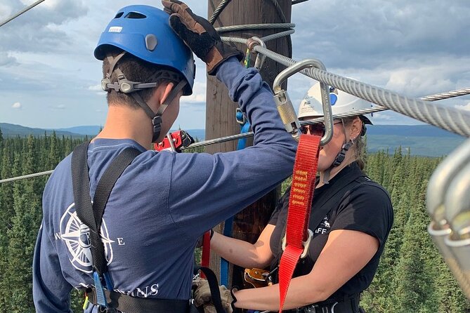 Denali Park Zipline Adventure - Six suspension bridges and seven ziplines over boreal forest