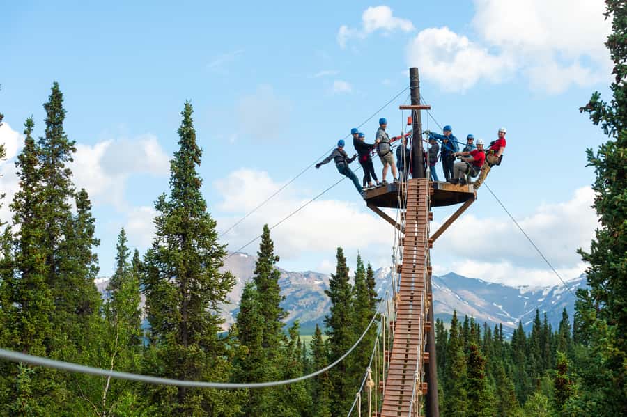 Denali Park Zipline Adventure - Price and Value at $208: What You’re Buying Besides Adrenaline