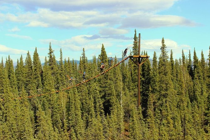 Denali Park Zipline Adventure - The 3-Mile ATV Ride Through Alaska Country: Worth the Jolt