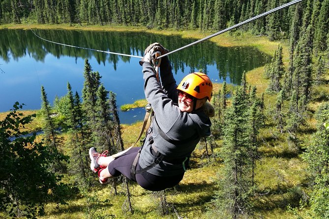 Denali Zipline Tour in Talkeetna, AK - Key things that make this Denali Zipline Tour worth your time