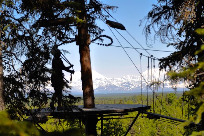 Denali Zipline Tour in Talkeetna, AK - Denali Zipline Tour: what your 3 hours really feels like