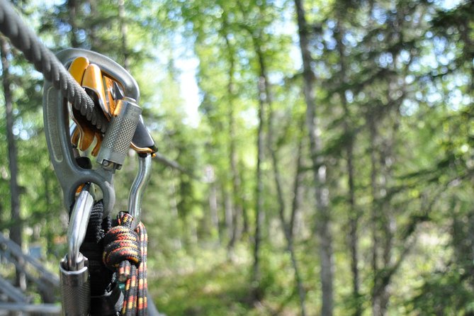 Denali Zipline Tour in Talkeetna, AK - Weather-proof fun: how to dress so this feels good, not miserable