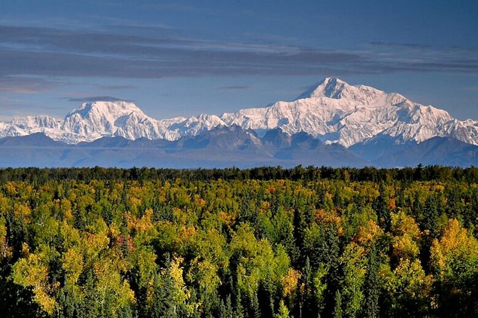 Denali Zipline Tour in Talkeetna, AK - Price and value: what you get for about $168.92