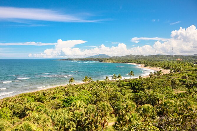 Double Thrill Experience: ATV or Dune Buggy & Zipline - Who This Double Pass Is Best For