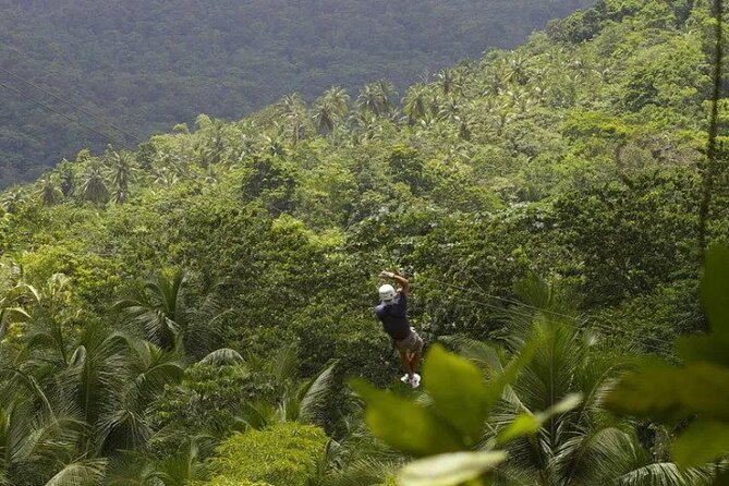 Drive and Fly - Buggy and Zipline - Key things to know before you go