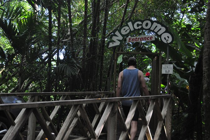 Drive and Fly - Buggy and Zipline - Price and Value: Is $225 Per Person Fair?