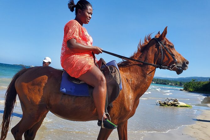 Dunn's River Falls Climb, Zipline and Horseback Riding Private Tour - Price and value: $295 per person, and what you actually get for it