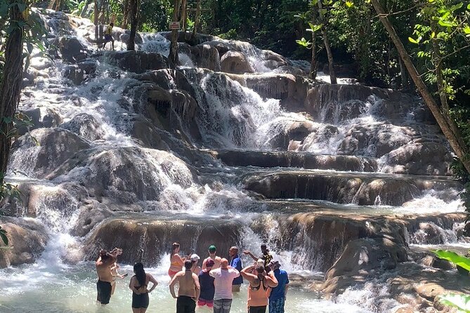 Dunn's River Falls, Zipline Adventure from Kingston - Quick hits: what makes this Dunn’s River + zipline day worth it