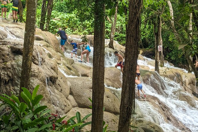Dunns River Falls, Rafting, Zipline & Horseback from Montego Bay - Scotchies Jerk Lunch: Your Midday Reset (Food First, Ask Later)