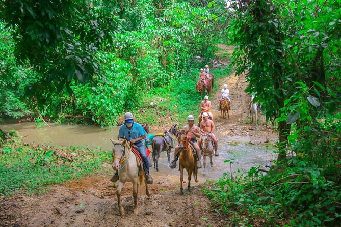 Eco Aventure Park+ Zipline+Horseback Ride+Buggy - Price and Value: What You’re Really Paying For at $114