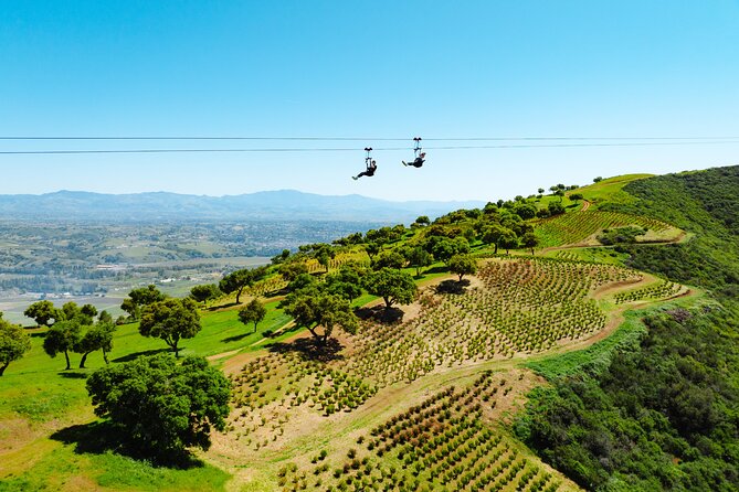 Epic Zipline Tour near Santa Barbara - Key highlights at a glance