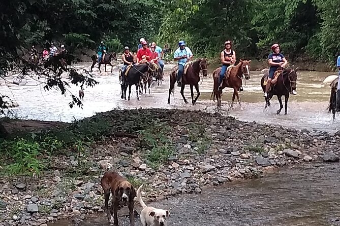 Experience 3 in 1 - Horse Riding, Zipline & ATV Shared - ATV Expedition: Jungle Trails, River Splashes, and Tight Turns