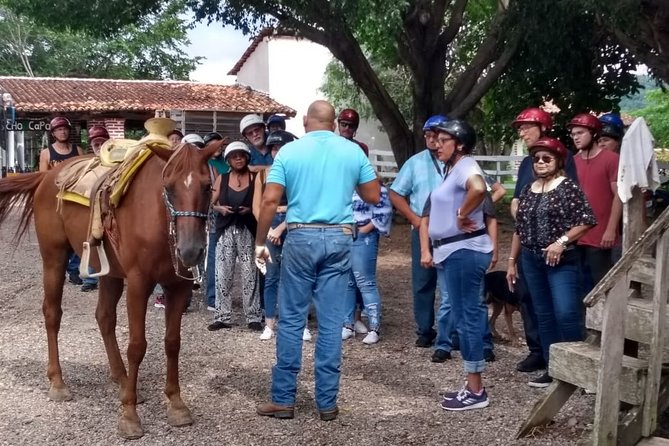 Experience Horse Riding, ATV & Zipline from Puerto Vallarta - Rancho Capomo Action Day: ATV, 7 Zip Lines, Horses, and Waterfall Swim