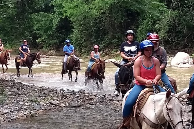 Experience Horse Riding, ATV & Zipline from Puerto Vallarta - Secret Waterfall Stop: Hanging Bridges, Jungle Pools, and Seasonal Swaps
