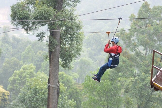 Extream Zipline @ Kingkong Smile and Dip in Hot Spring - Cables, Heights, and Speeds: What You’re Really Signing Up For