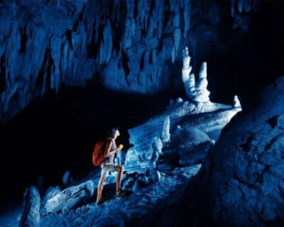 Fiji: Zipline Adventure and Cave Exploration - The 16-line run: 5km of speed through rainforest canyons