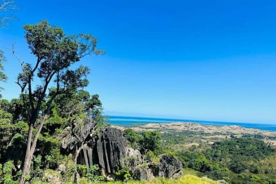 Fiji: Zipline Adventure and Cave Exploration - Lunch at the finish: included food that helps you recover