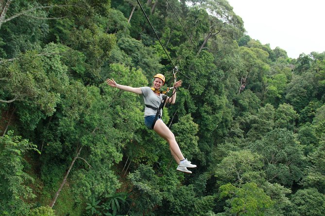 Flight of the Phoenix: Zipline Experience - Key highlights you’ll feel fast