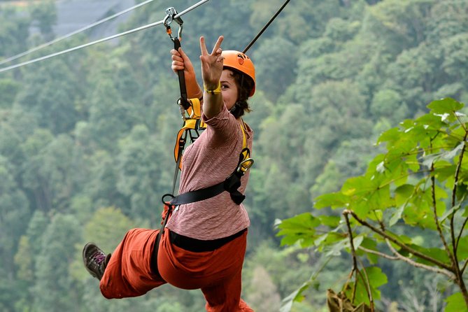 Flight of the Phoenix: Zipline Experience - What you’ll do up there: rope obstacles and two zipline styles