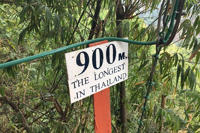Flight of the Phoenix: Zipline Experience - Who this fits best (and who should think twice)