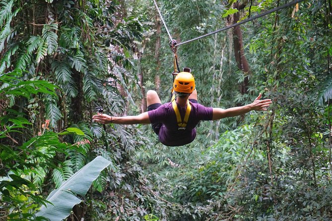 Flying Hanuman Zipline Adventure – Soar Through the Jungle! - Adding the treetop experience (1 hour or 3 hours)