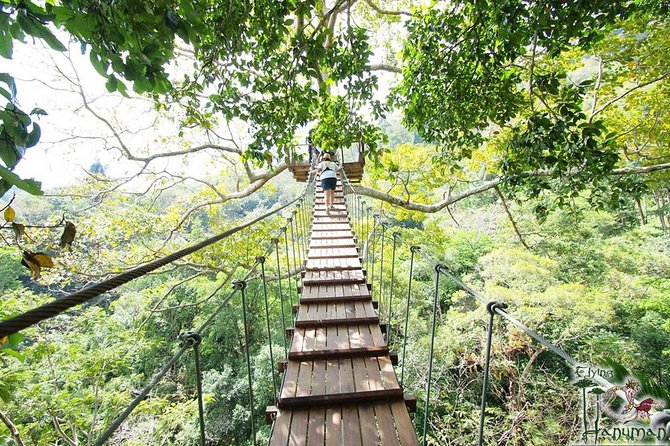 Flying Hanuman Zipline Adventure – Soar Through the Jungle! - What you’re really paying for: the value behind the $93.70