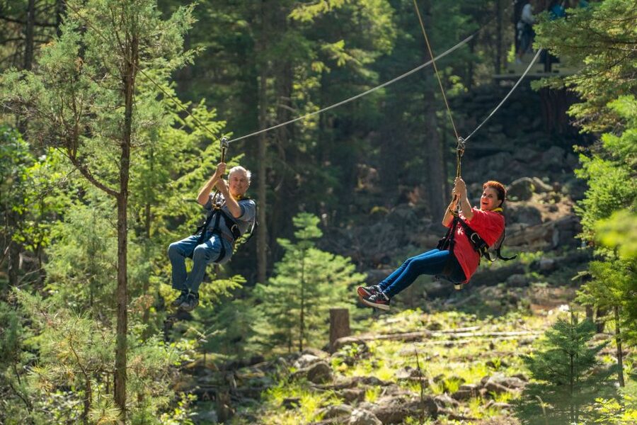 From Durango: All-Day Zipline Adventure with Train & Lunch - Why This Zipline Day Starts on the Train (and Keeps Going)