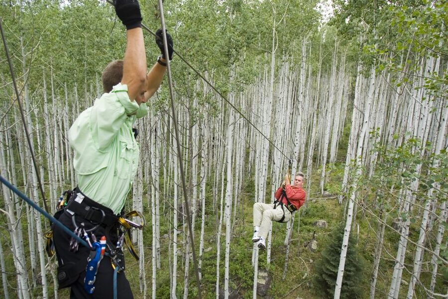 From Durango: All-Day Zipline Adventure with Train & Lunch - Should You Book This Durango Rail + Zipline Day?