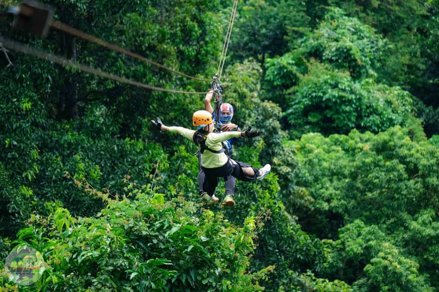 From Koh Samui: Tree Bridge Zipline and Café Experience - Key takeaways before you go