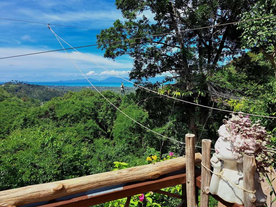 From Koh Samui: Tree Bridge Zipline and Café Experience - The main event: flying the canopy on 8 cables (and spotting Tan Rua)