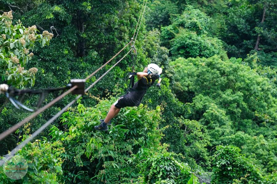 From Koh Samui: Tree Bridge Zipline and Café Experience - Who should book this, and who should skip it