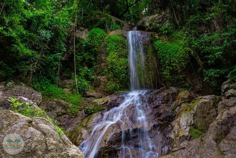 From Koh Samui: Tree Bridge Zipline and Café Experience - Getting there from Koh Samui: pickup zones and the real time commitment