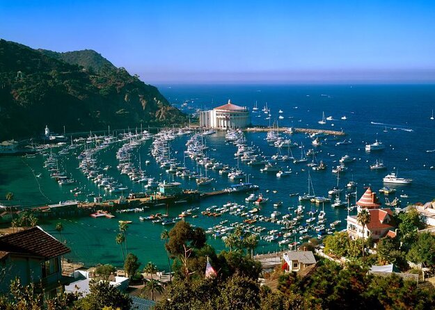 From LA: Catalina Island with Zipline Tour and Hotel Pickup - Key things to know before you go