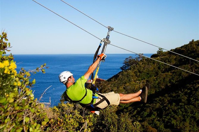 From LA: Catalina Island with Zipline Tour and Hotel Pickup - Ferry comfort and why the return matters more than you think