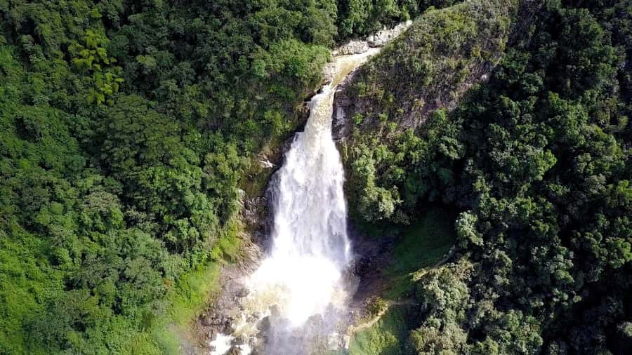 From Medellín: Dream Hammocks, Zipline, & Waterfall Day Trip - Guide impact: why Fabian and Diego show up in people’s memories