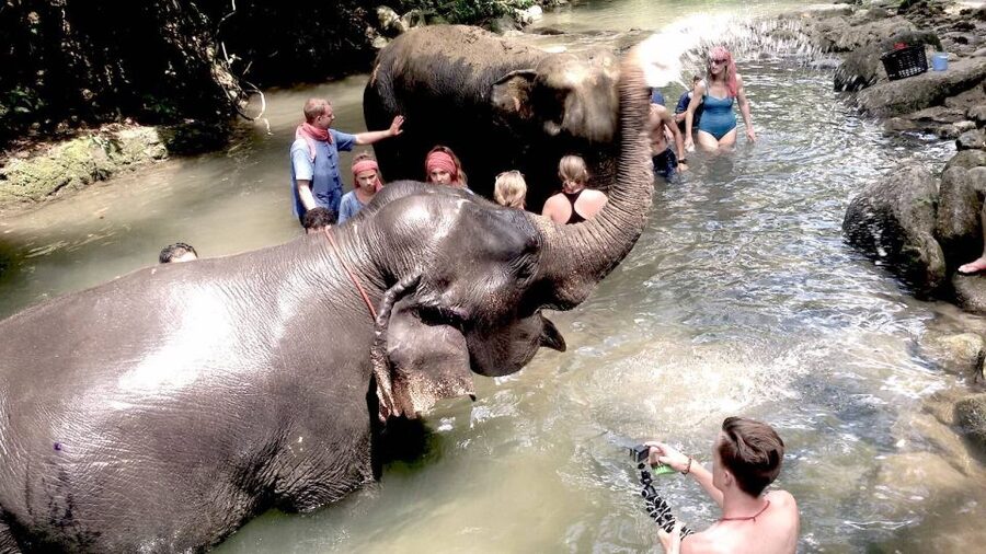From Phuket: Elephant Care Experience with Rafting & Zipline - Who this tour fits best (and who should skip it)