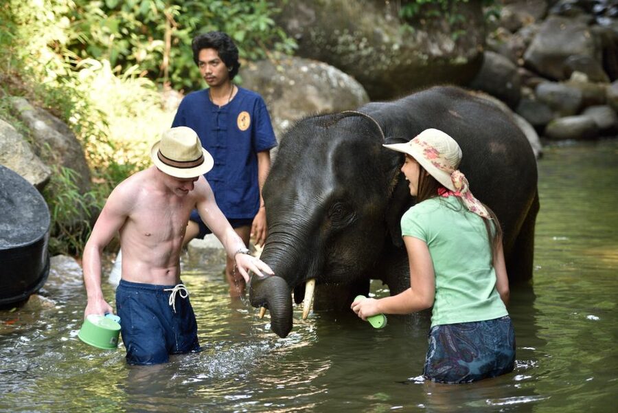 From Phuket: Elephant Care Experience with Rafting & Zipline - Price and value: what you get for about $77