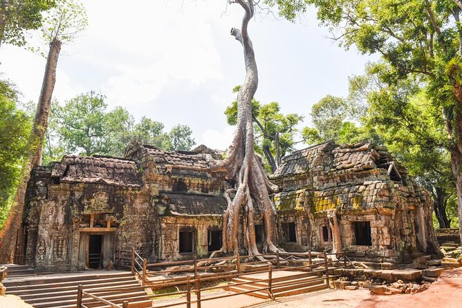 Full-Day Bike Tour in Siem Reap with Zipline - Key highlights you’ll feel right away