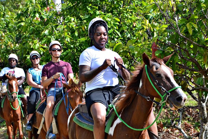 Full-Day La Hacienda Dune Buggy with Zipline & Horseback Activity - Zipline Over the Park: Getting the Most Out of One Flight