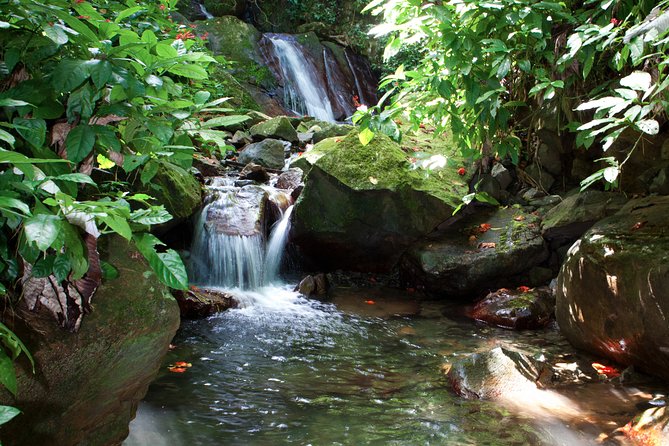 Full-Day Zipline and Waterfall Rappelling Adventure Near San Juan - Basecamp, Dry Clothes, and Grandma’s House Lunch