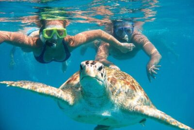 Full-dayTurtle Adventure: ATV, Zipline, Cenote & Turtle Swim - Zip lines and wall rappelling: adrenaline with real safety constraints