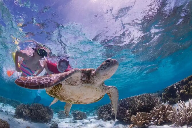 Full-dayTurtle Adventure: ATV, Zipline, Cenote & Turtle Swim - Cenote swim through an underground river: what to expect and what to pack