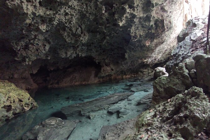 Full-dayTurtle Adventure: ATV, Zipline, Cenote & Turtle Swim - Taco lunch, snacks, and the water you’ll actually need