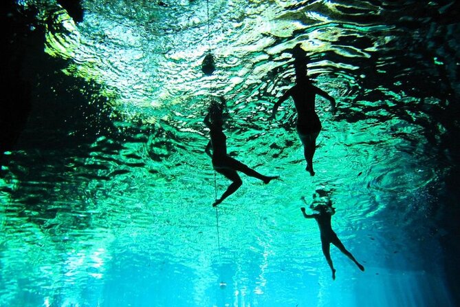 Full-dayTurtle Adventure: ATV, Zipline, Cenote & Turtle Swim - Turtle swim in a natural sanctuary: the emotional payoff moment